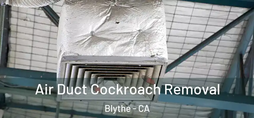  Air Duct Cockroach Removal Blythe - CA