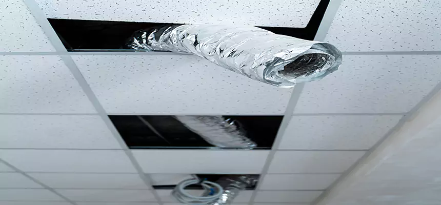 Our Air Duct Pet Hair Removal Services in Blythe, CA