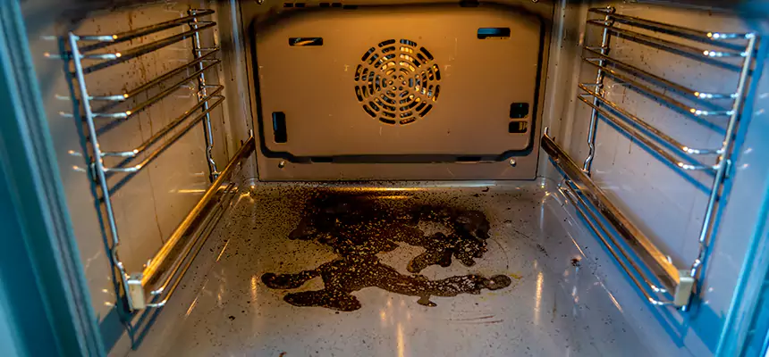 Our Dryer Vent Mold Cleaning Services in Blythe, CA