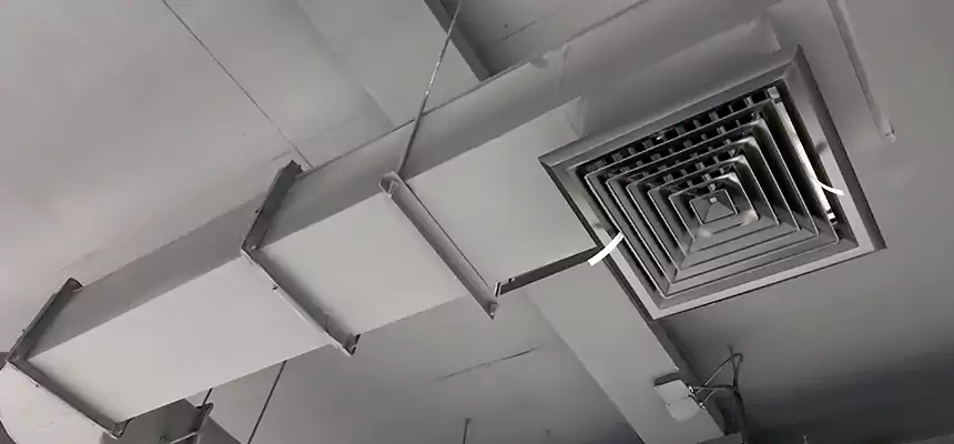 Our Pest Removal From Ducts Services in Blythe, CA