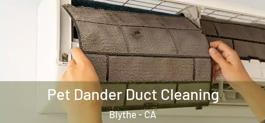 Pet Dander Duct Cleaning Blythe - CA