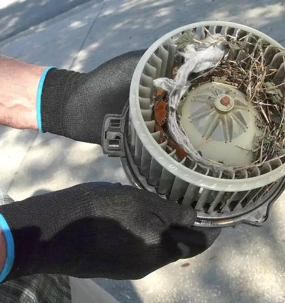 About Air Duct Mice Removal in Blythe, CA