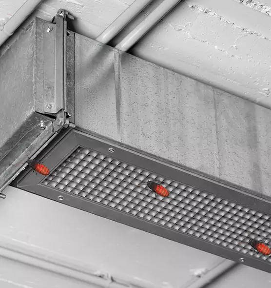 Affordable Insect Removal from Air Ducts in Blythe, CA