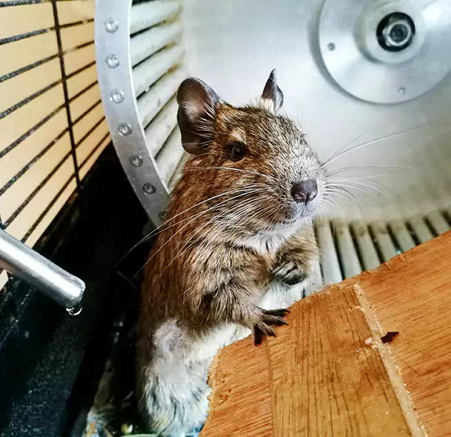 Why Homeowners & Businesses Trust Us Blythe, CA?