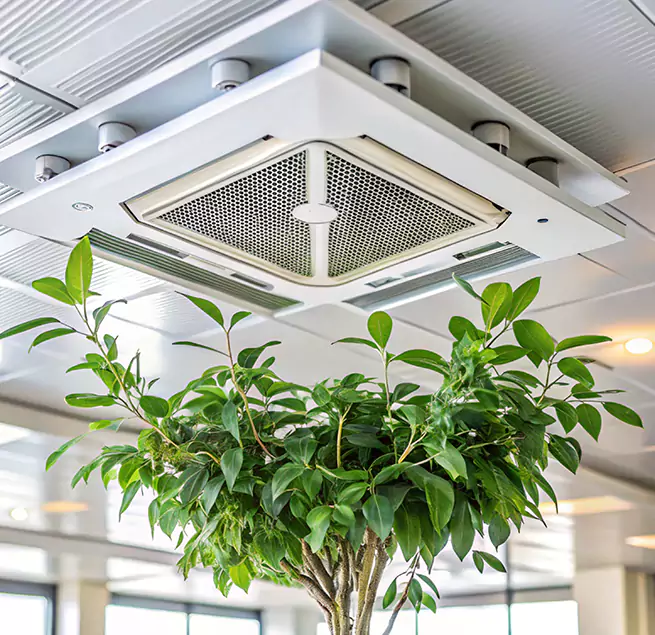 Why Homeowners & Businesses Trust Us in Blythe, CA?